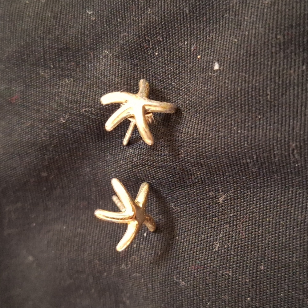Silver starfish earrings